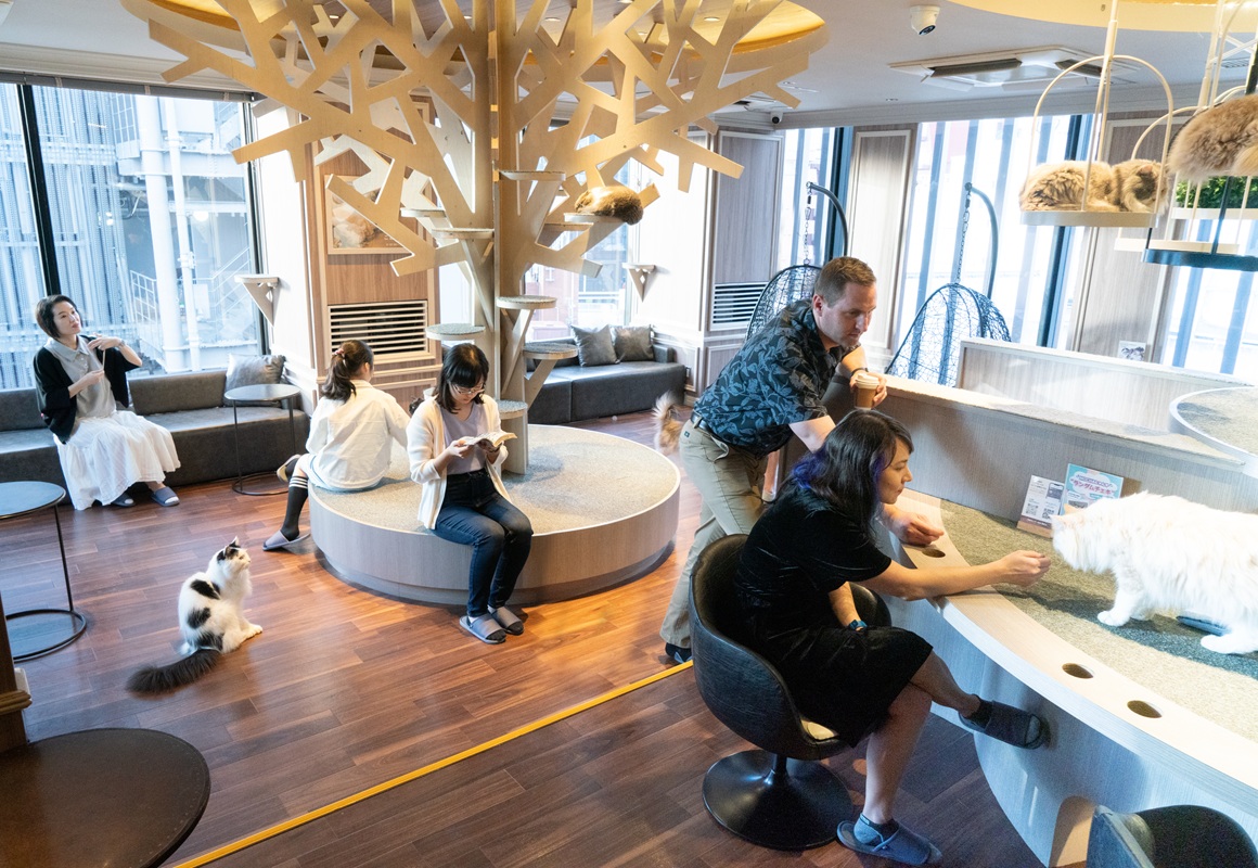 渋谷センター街店