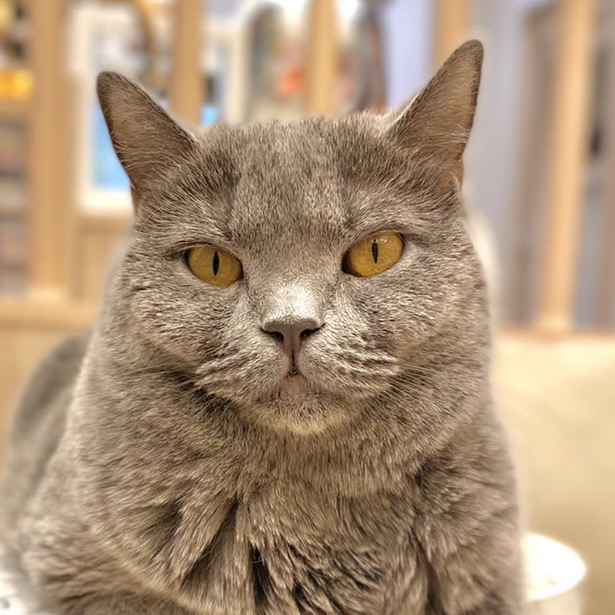 アラン