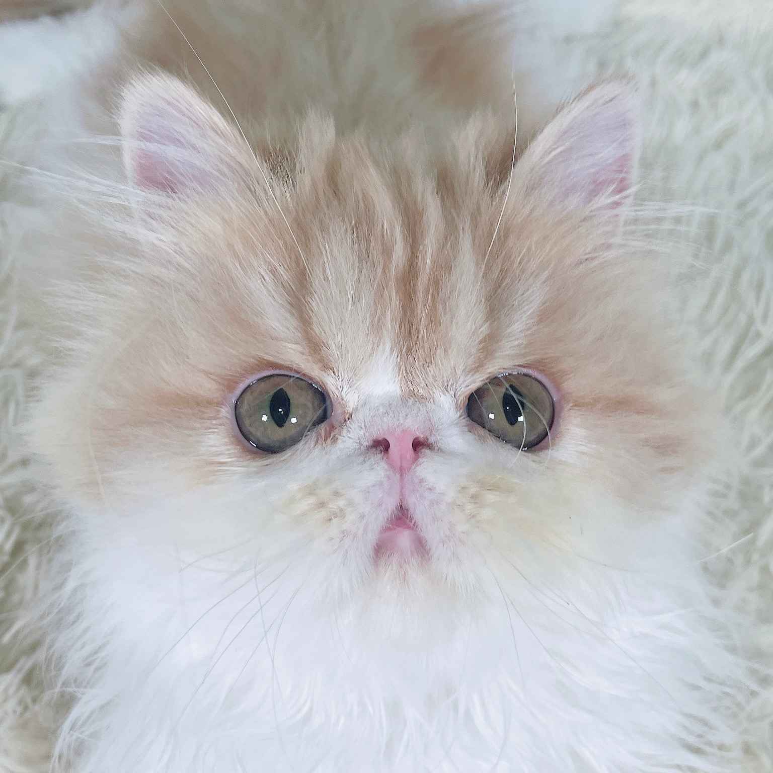 むむ