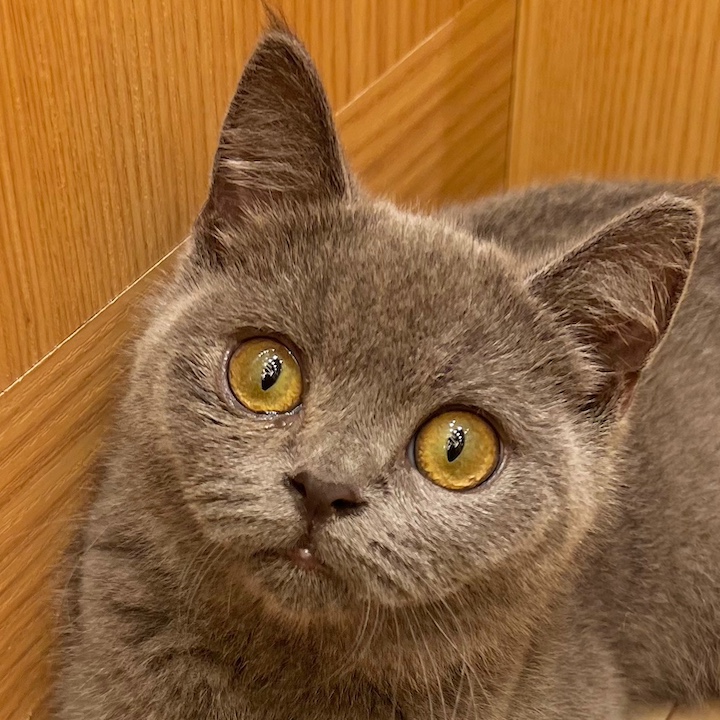 ぷう