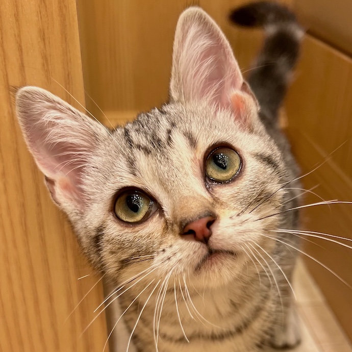 ふゆこ