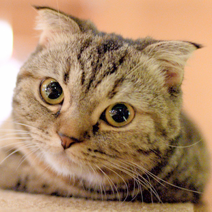 モカラウンジ新宿店 そぼろ