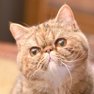 モカラウンジ新宿店 たまえ