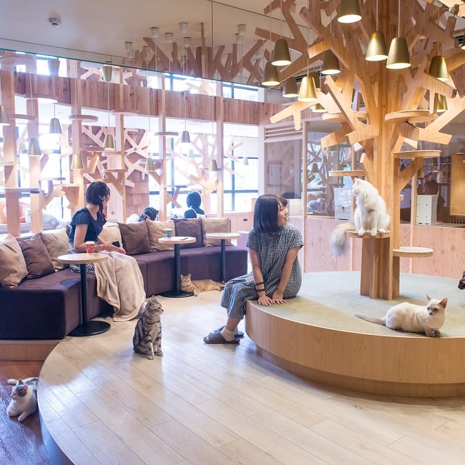 池袋本店
