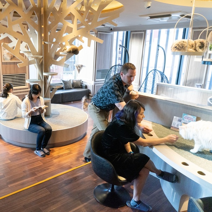 渋谷センター街店