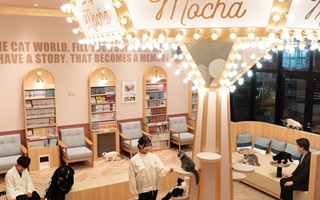 イオンモール店